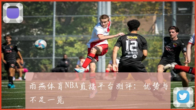 雨燕体育NBA直播平台测评：优势与不足一览