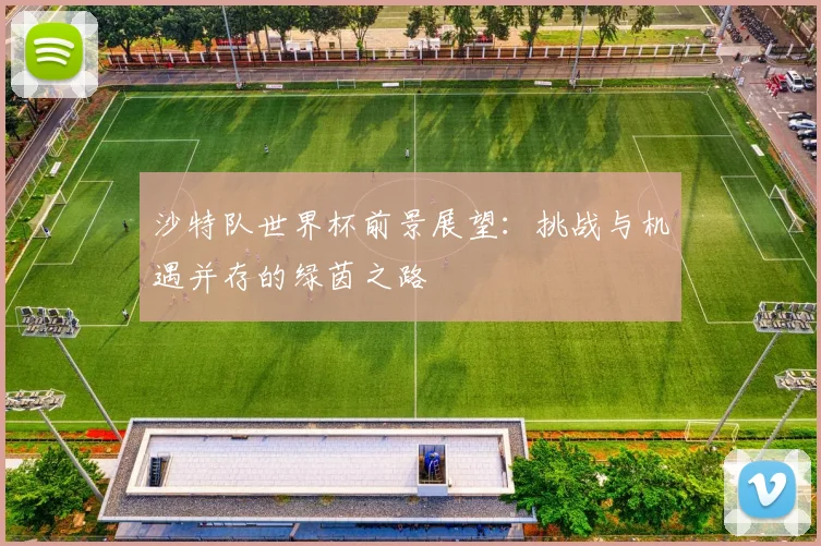 沙特队世界杯前景展望：挑战与机遇并存的绿茵之路