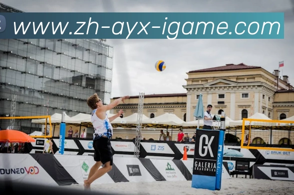 多媒体互动体验